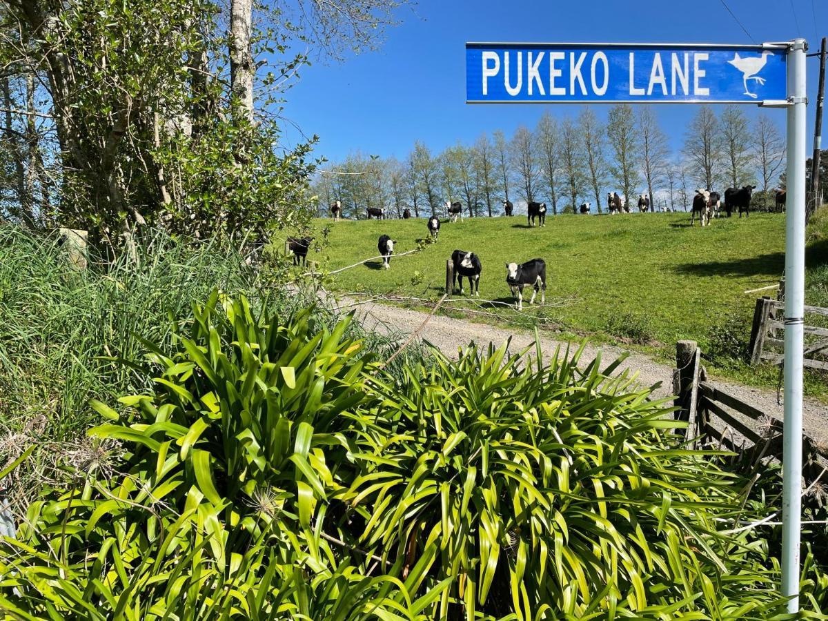 Pukeko Lane Apartamento Tauranga Exterior foto